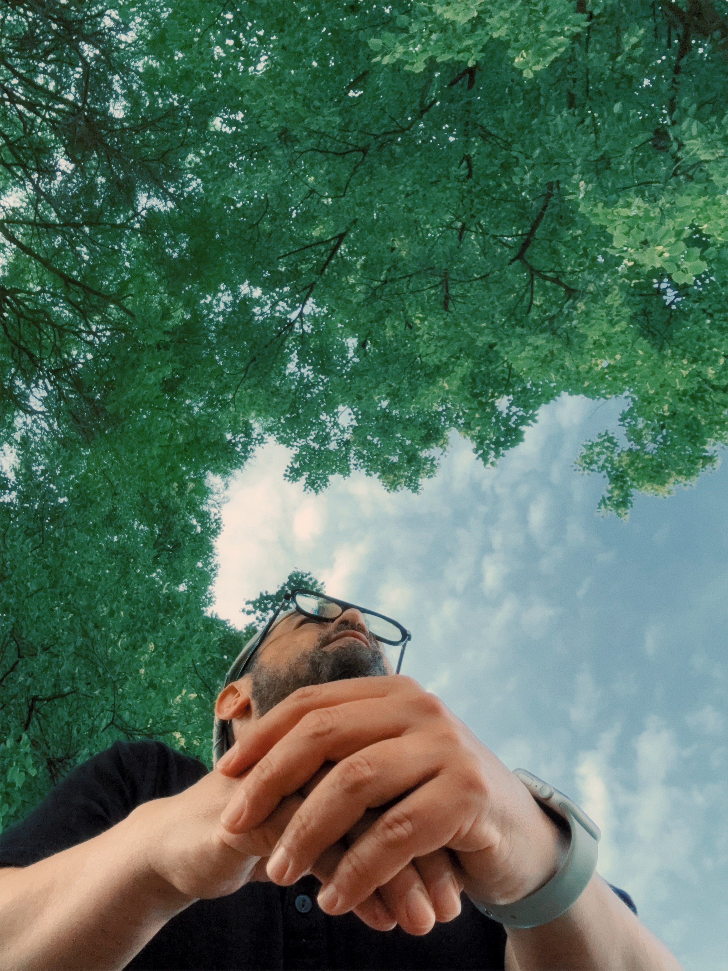 Nicanor looking up through the trees with his hands resting in front of him beneath an open sky